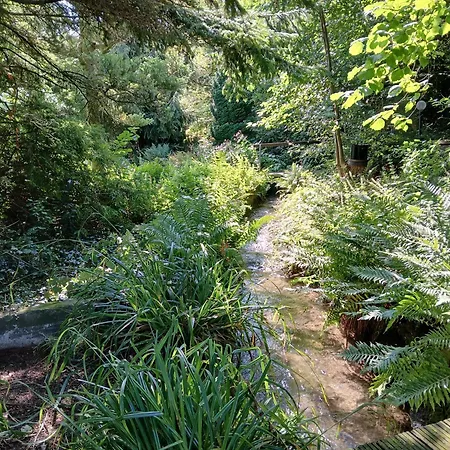 Waldblick Salzhemmendorf