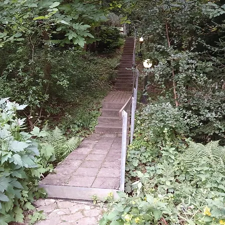 Waldblick