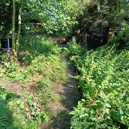 Waldblick 公寓 *